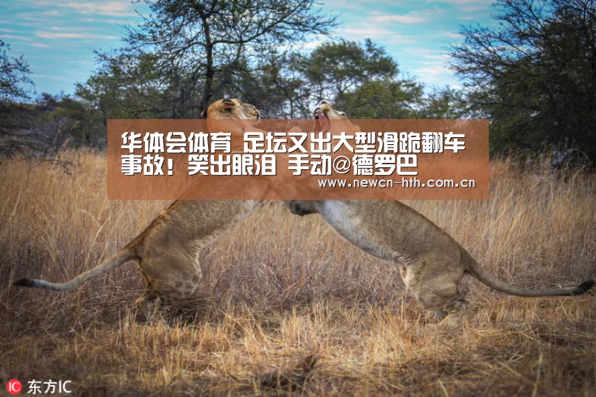 华体会体育