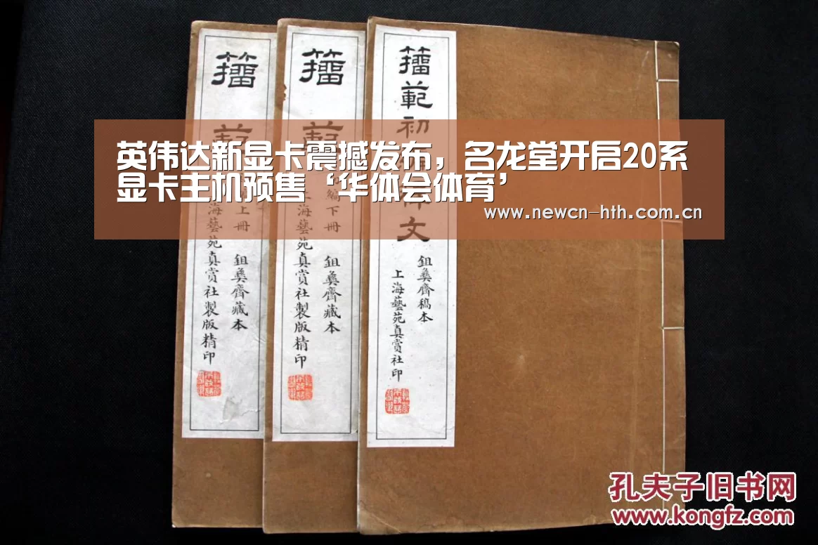 英伟达新显卡震撼发布,名龙堂开启20系显卡主机预售‘华体会体育’(图2) 华体会体育